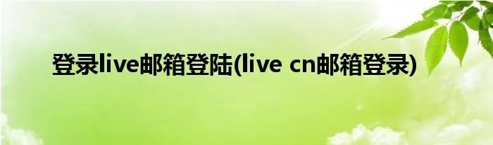 登录live邮箱登陆(live cn邮箱登录)