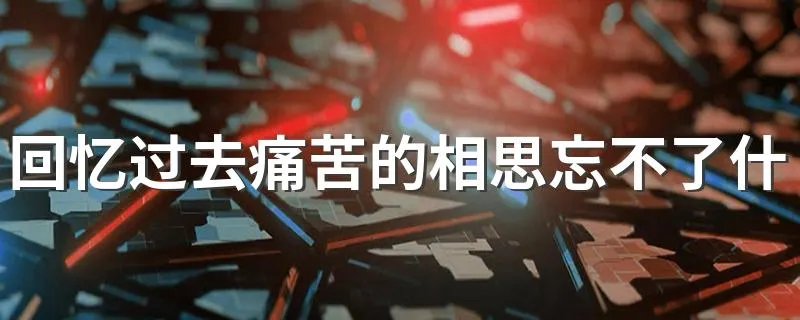 回忆过去痛苦的相思忘不了什么歌 歌词回忆过去痛苦的相思忘不了出自哪首歌
