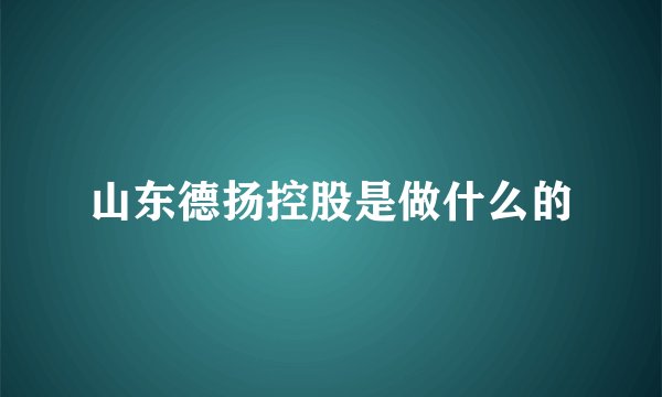 山东德扬控股是做什么的