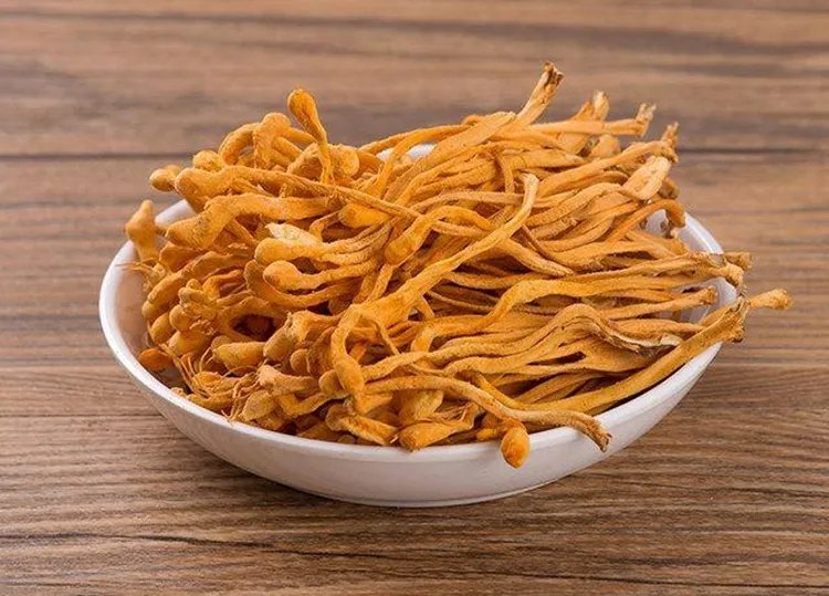 虫草花的功效与作用