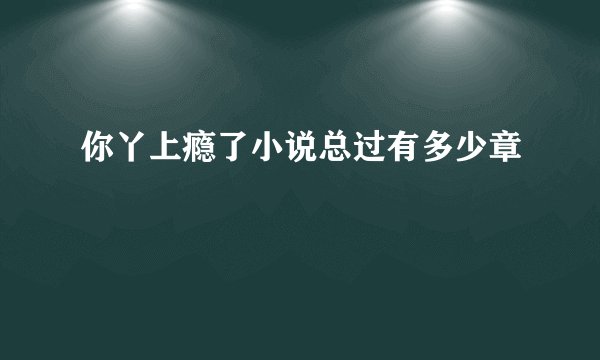 你丫上瘾了小说总过有多少章