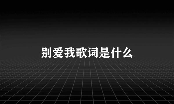 别爱我歌词是什么