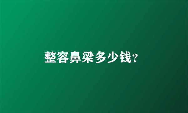 整容鼻梁多少钱？