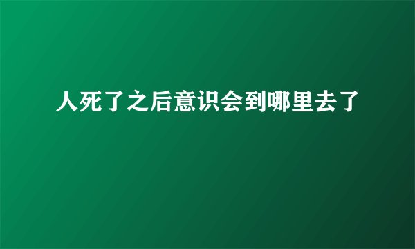 人死了之后意识会到哪里去了