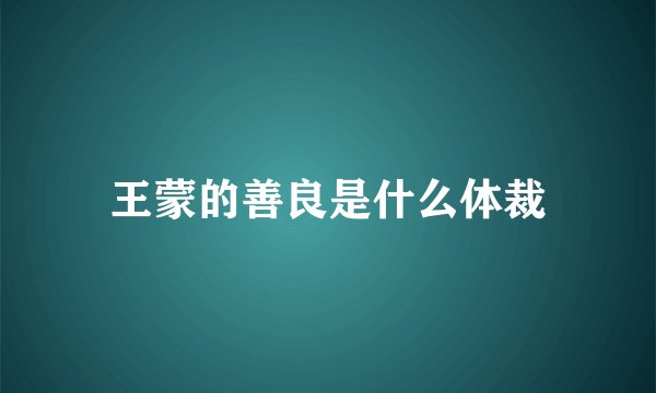 王蒙的善良是什么体裁