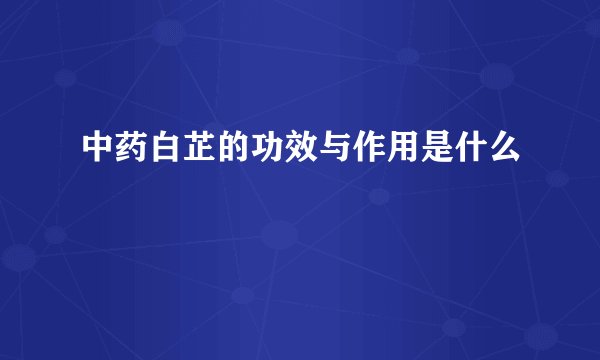 中药白芷的功效与作用是什么
