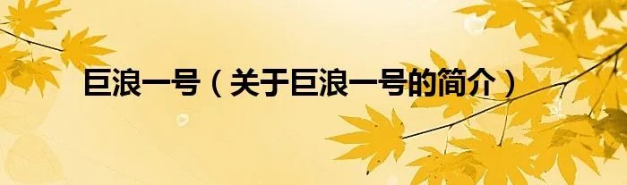 巨浪一号（关于巨浪一号的简介）