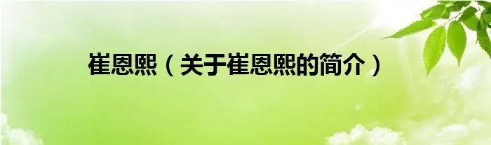 崔恩熙（关于崔恩熙的简介）