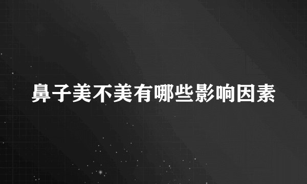 鼻子美不美有哪些影响因素