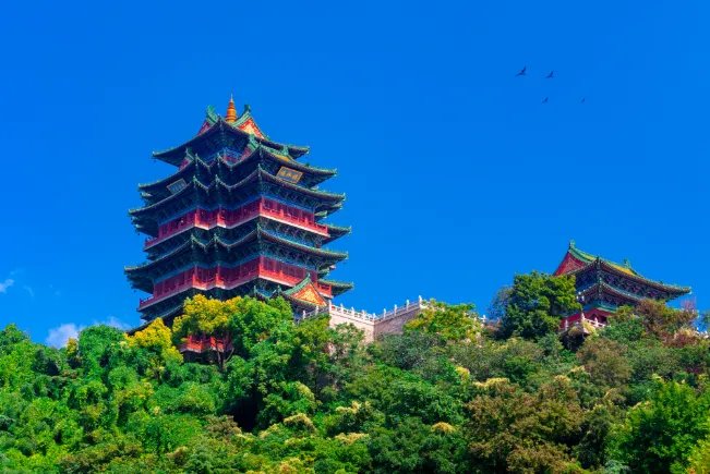 阳历是公历还是农历