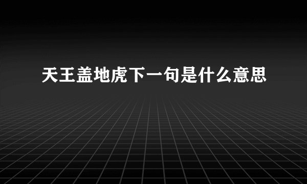 天王盖地虎下一句是什么意思