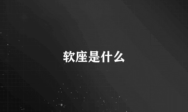 软座是什么