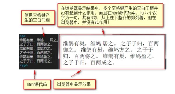 空白符号是什么？