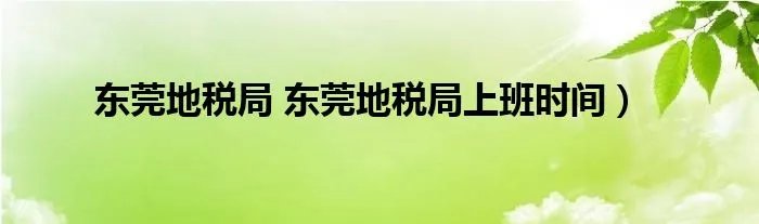 东莞地税局 东莞地税局上班时间）