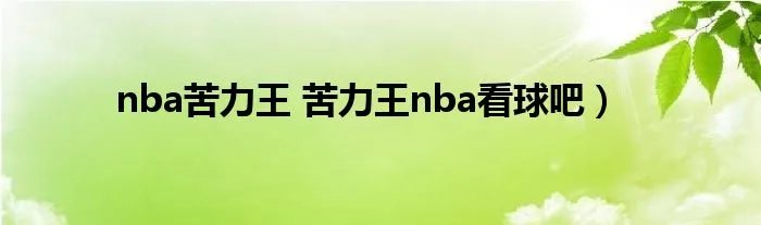 nba苦力王 苦力王nba看球吧）