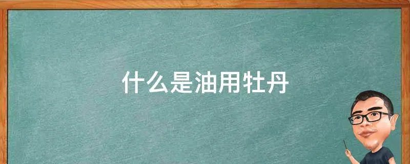 什么是油用牡丹