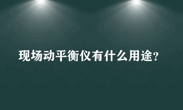 现场动平衡仪有什么用途？