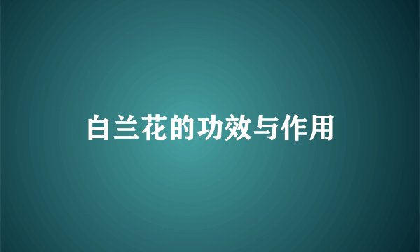 白兰花的功效与作用
