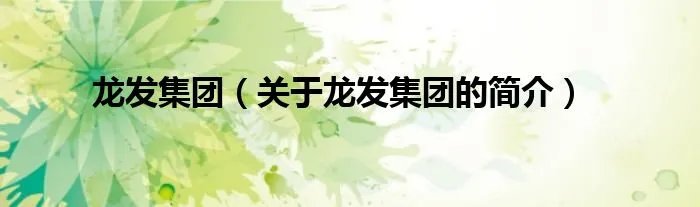 龙发集团（关于龙发集团的简介）