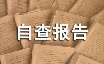 自查报告格式及