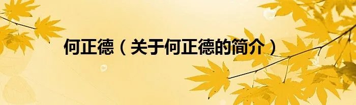何正德（关于何正德的简介）