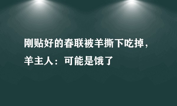 刚贴好的春联被羊撕下吃掉，羊主人：可能是饿了