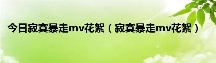 今日寂寞暴走mv花絮（寂寞暴走mv花絮）