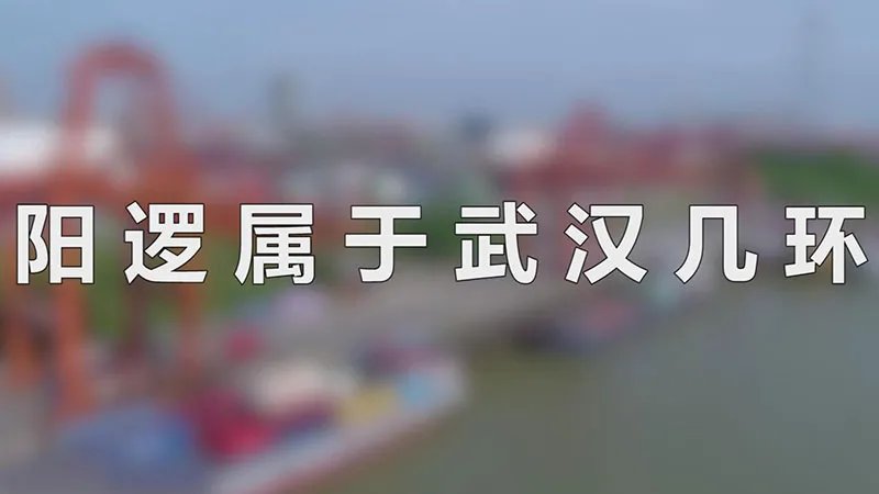 阳逻属于武汉几环