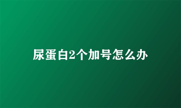 尿蛋白2个加号怎么办