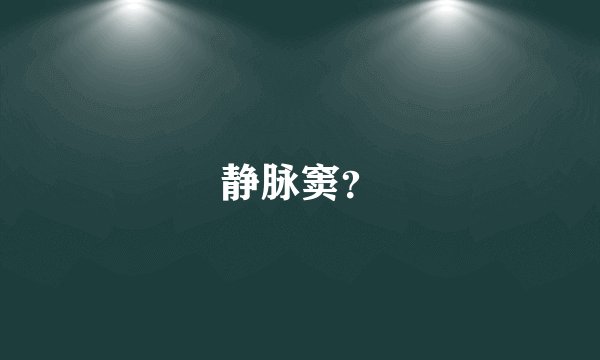 静脉窦？