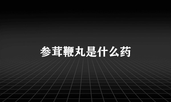 参茸鞭丸是什么药