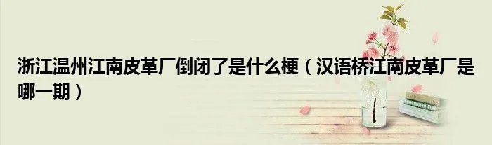 浙江温州江南皮革厂倒闭了是什么梗（汉语桥江南皮革厂是哪一期）