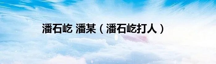 潘石屹 潘某（潘石屹打人）