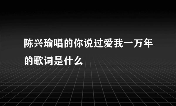 陈兴瑜唱的你说过爱我一万年的歌词是什么