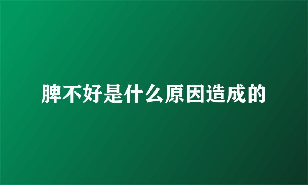 脾不好是什么原因造成的
