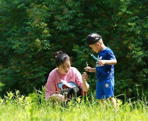 多地部署全面了解育龄妇女及生育意愿，了解妇女生育意愿为的是什么？
