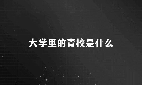 大学里的青校是什么