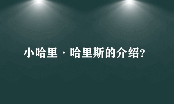 小哈里·哈里斯的介绍？
