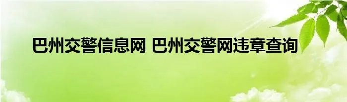 巴州交警信息网 巴州交警网违章查询