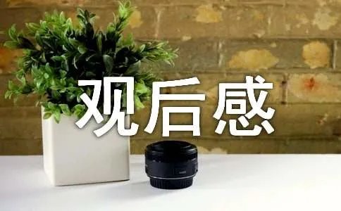人间真情观后感作文