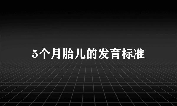 5个月胎儿的发育标准