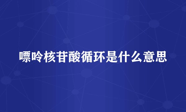 嘌呤核苷酸循环是什么意思