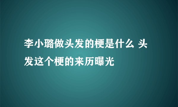 李小璐做头发的梗是什么 头发这个梗的来历曝光