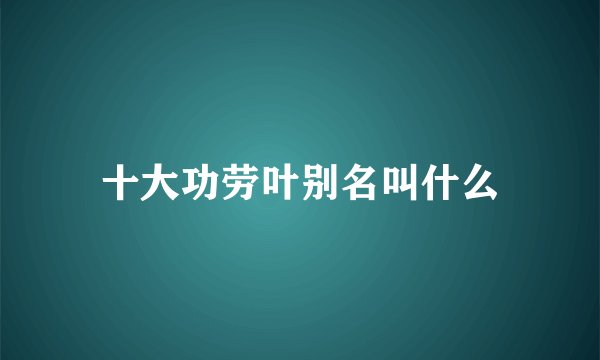 十大功劳叶别名叫什么