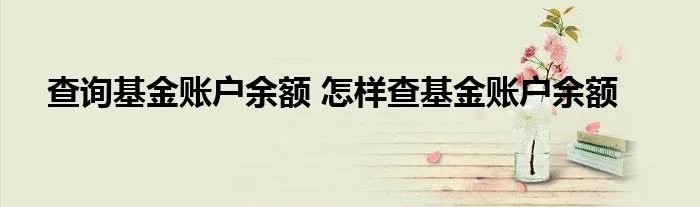 查询基金账户余额 怎样查基金账户余额
