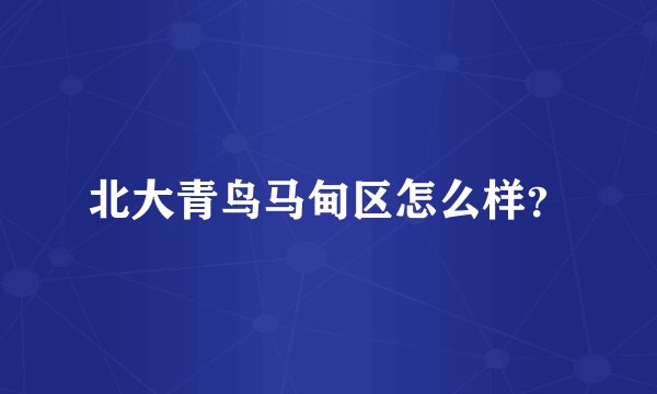 北大青鸟马甸区怎么样？