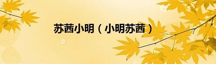 苏茜小明（小明苏茜）