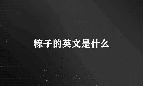 粽子的英文是什么