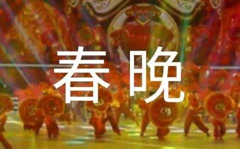 我上春晚啦作文