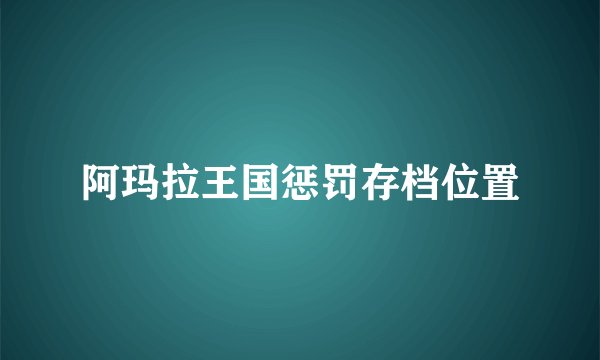 阿玛拉王国惩罚存档位置